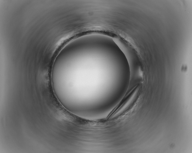 X0000091291218200708101239