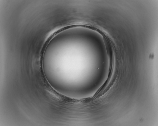 X0000091291222200708101239