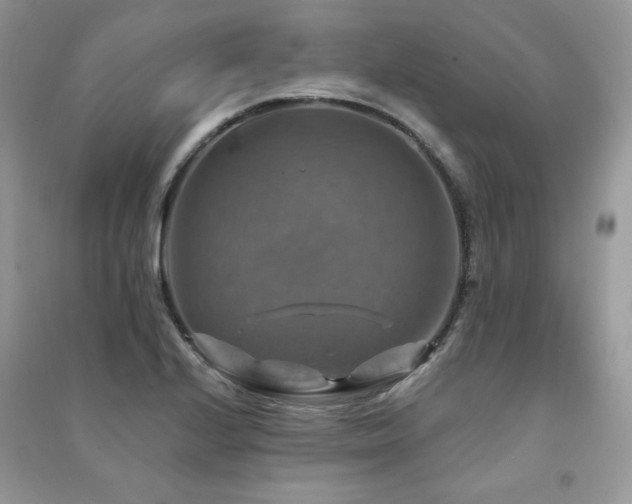 X0000091291224200708101239