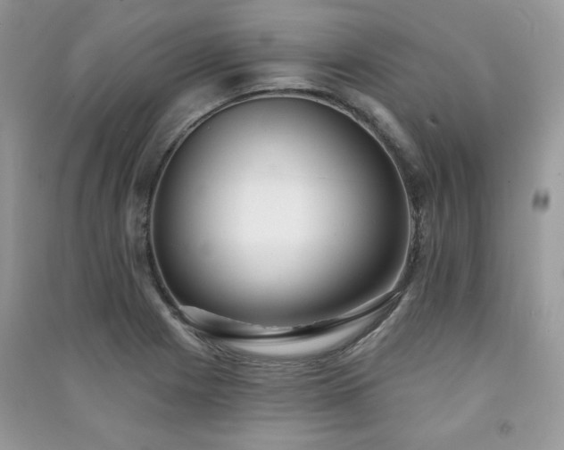 X0000091291225200708101239