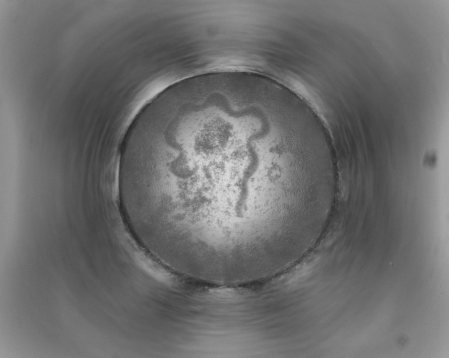 X0000091291227200708101239