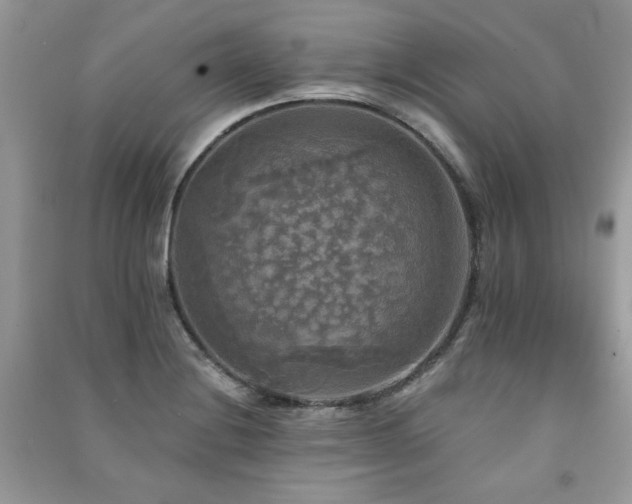 X0000091291228200708101239