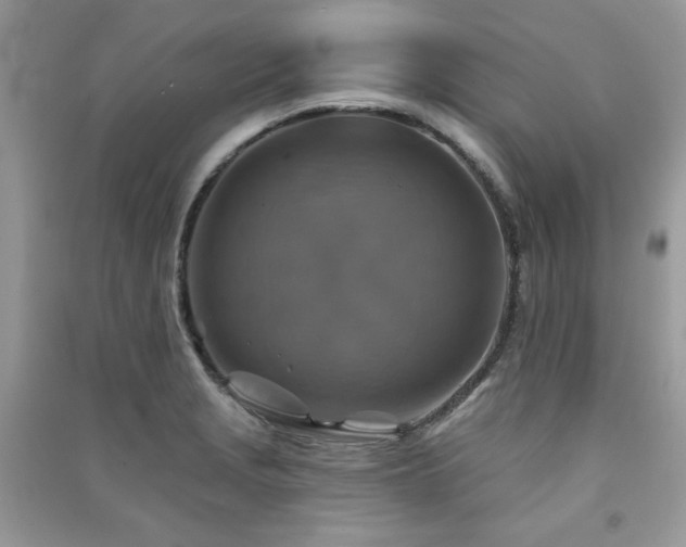 X0000091291229200708101239