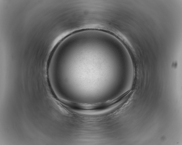 X0000091291230200708101239