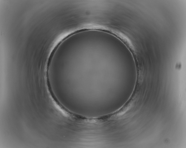 X0000091291231200708101239