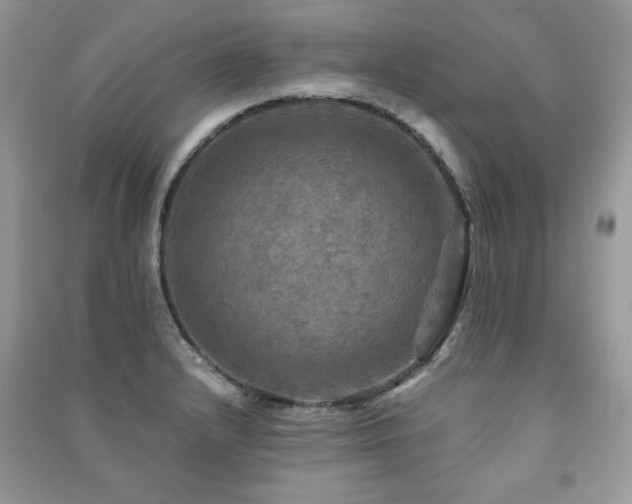 X0000091291232200708101239