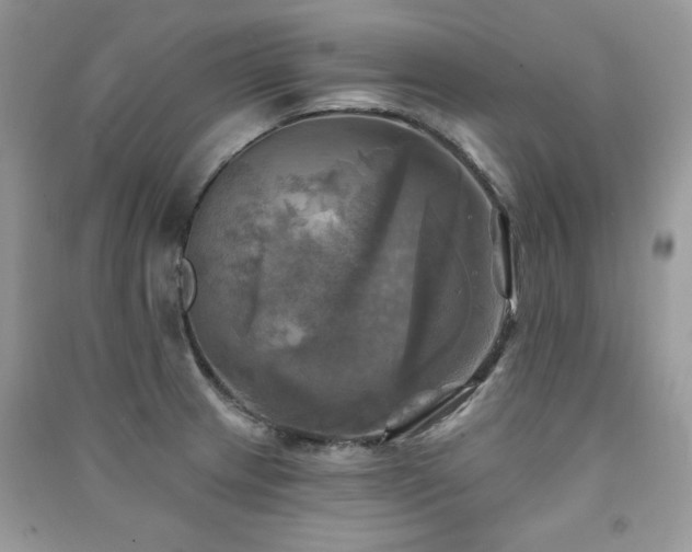 X0000091291233200708101239