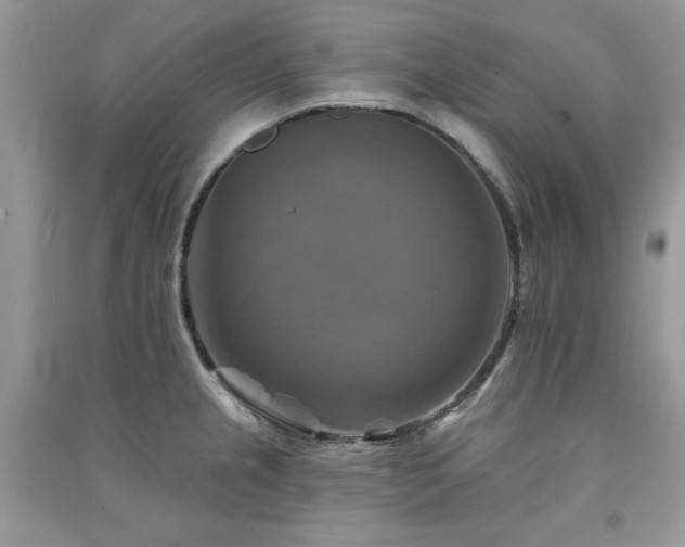 X0000091291237200708101239