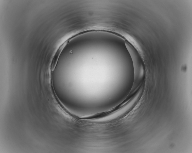 X0000091291238200708101239