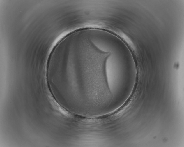 X0000091291240200708101240