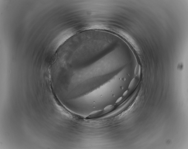 X0000091291241200708101240