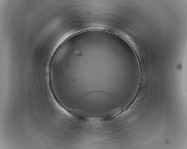 X0000091291243200708101240