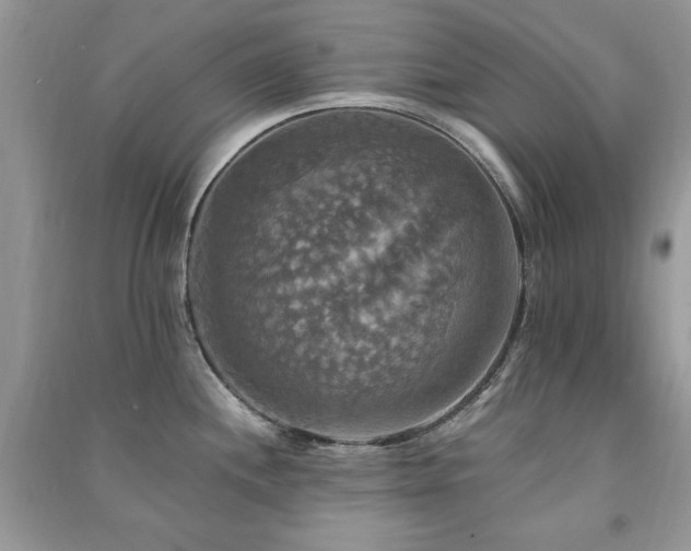 X0000091291244200708101240