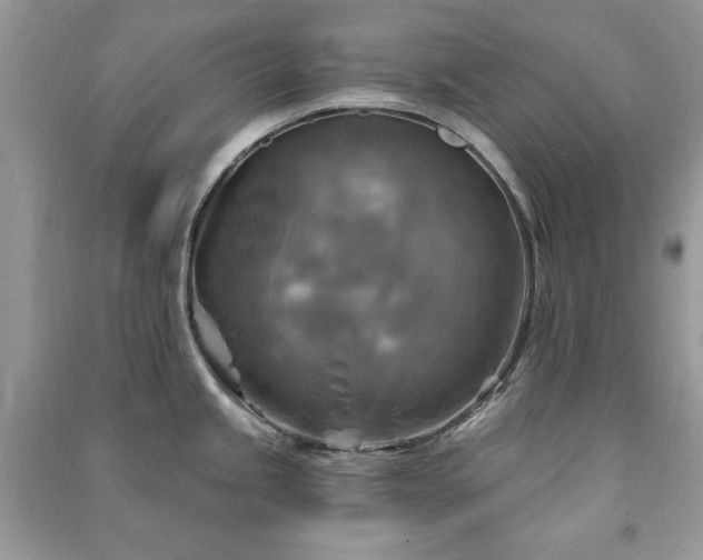 X0000091291245200708101240