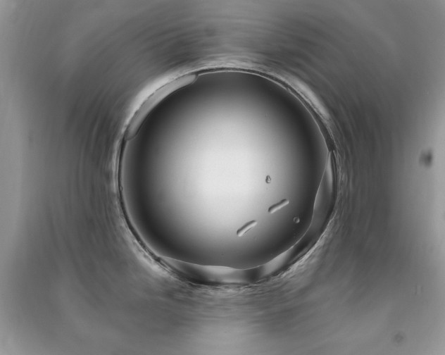 X0000091291246200708101240