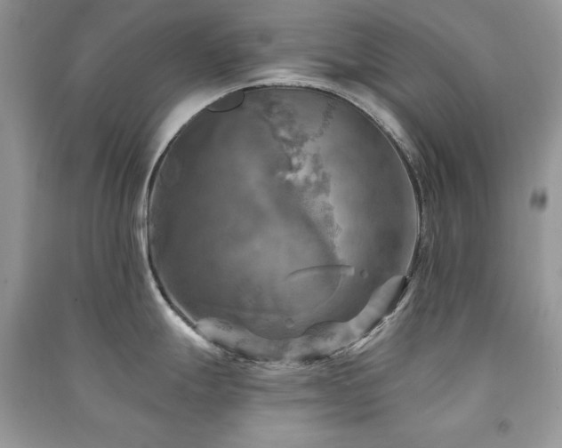 X0000091291247200708101240