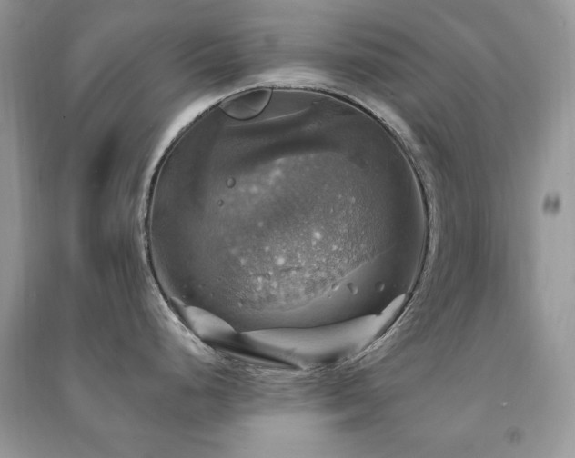 X0000091291248200708101240