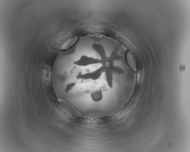 X0000091291251200708101239