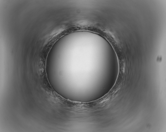 X0000091291253200708101239