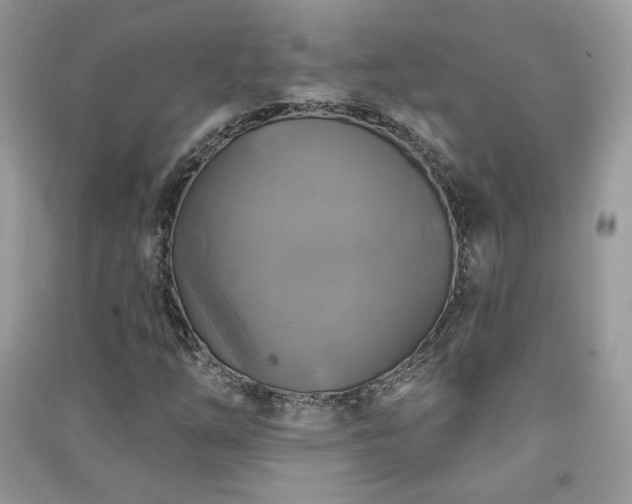 X0000091291254200708101239