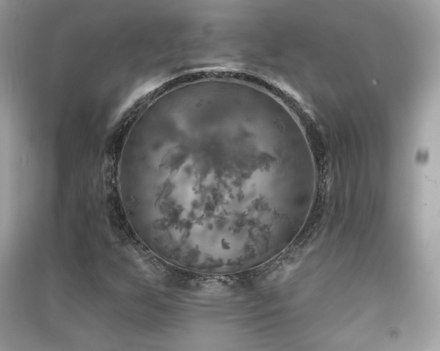 X0000091291255200708101239