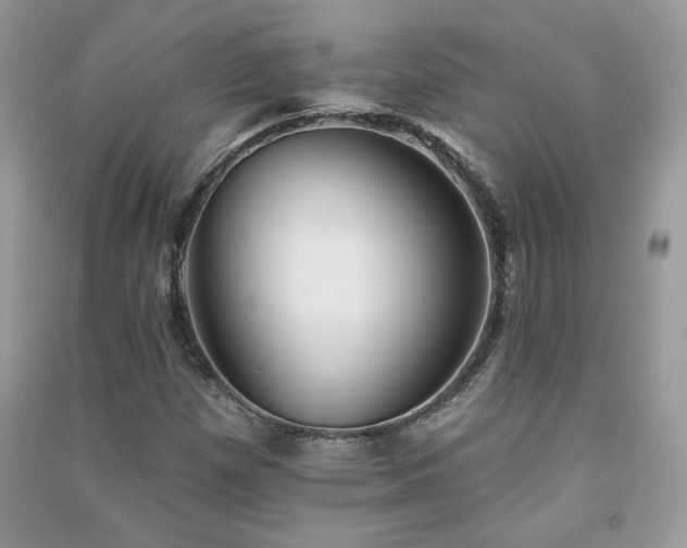 X0000091291257200708101239