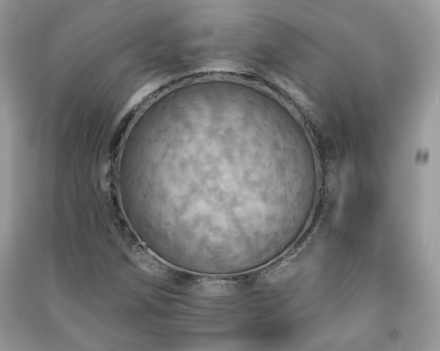 X0000091291258200708101239