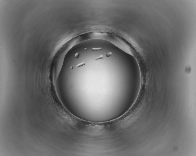 X0000091291261200708101239