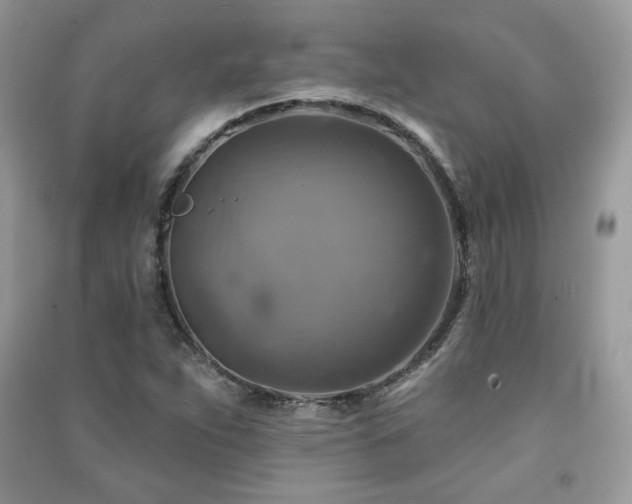 X0000091291263200708101239