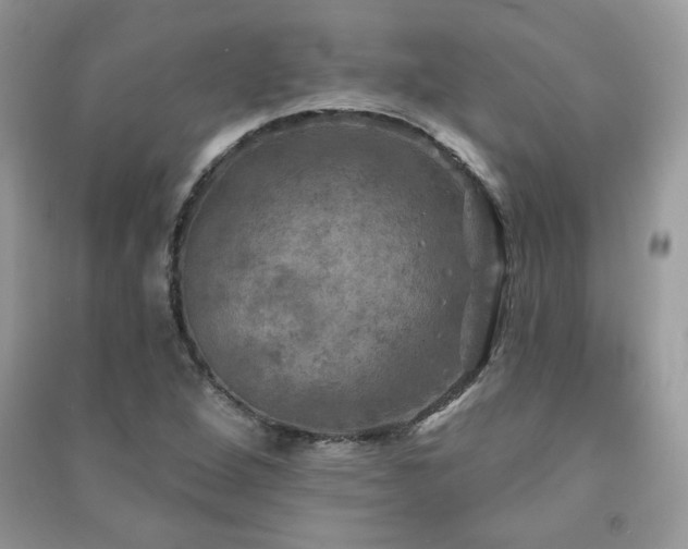 X0000091291264200708101239