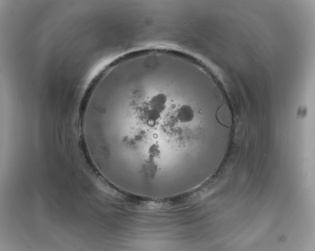 X0000091291271200708101239