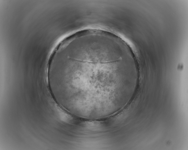 X0000091291272200708101239