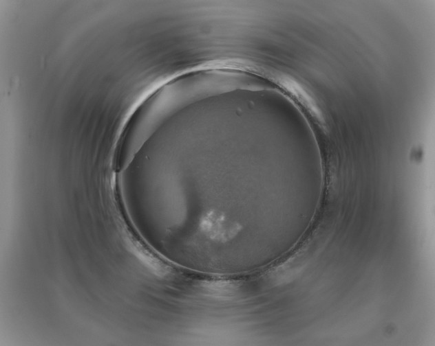 X0000091291276200708101239