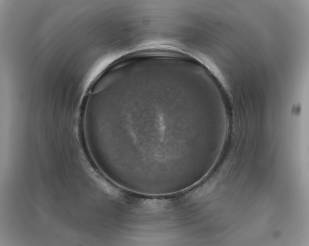 X0000091291277200708101239