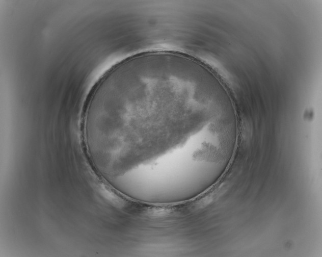 X0000091291278200708101239