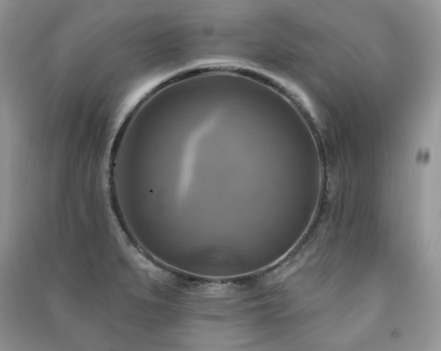 X0000091291279200708101239