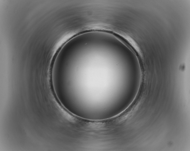 X0000091291285200708101239