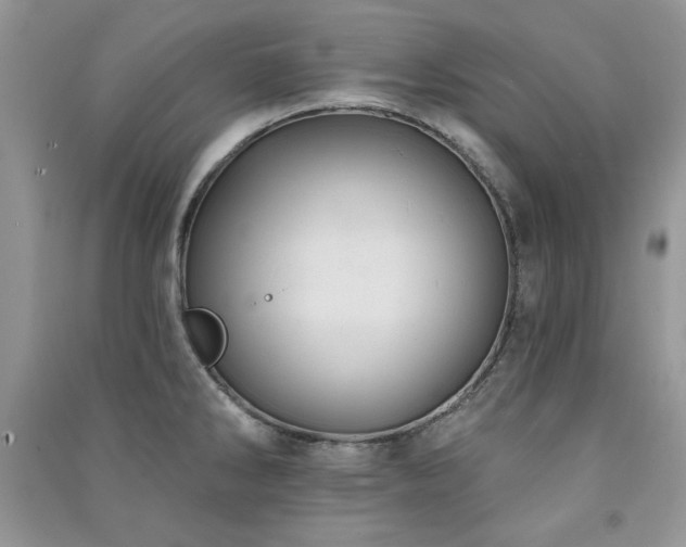 X0000091291286200708101239