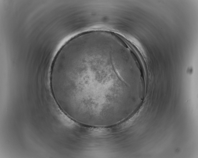 X0000091291288200708101239