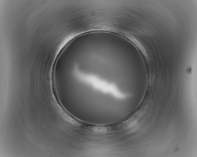 X0000091291291200708101238