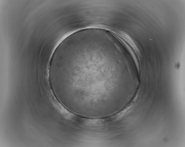 X0000091291292200708101238