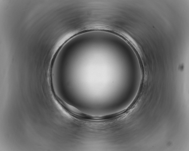 X0000091291293200708101238