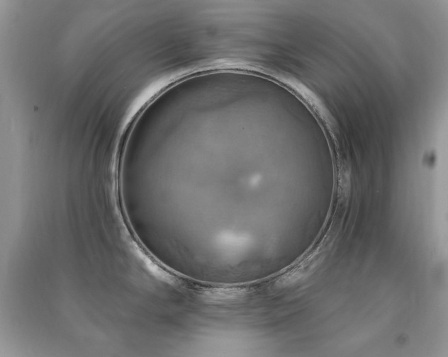 X0000091291294200708101238