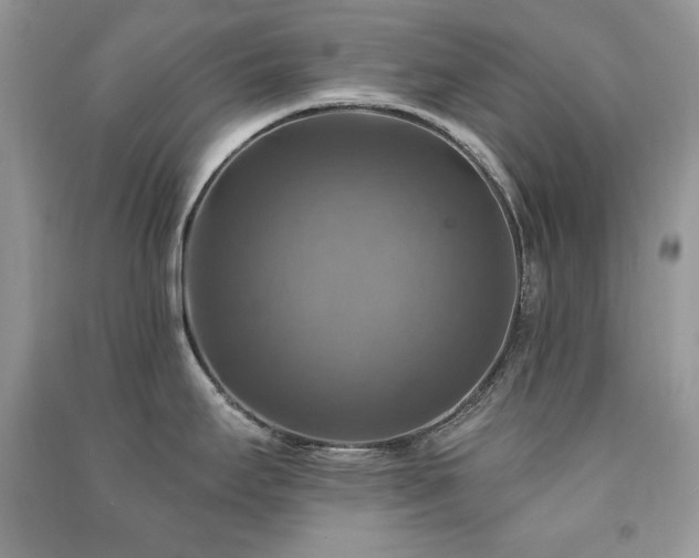 X0000091291295200708101238
