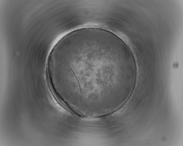 X0000091291296200708101238
