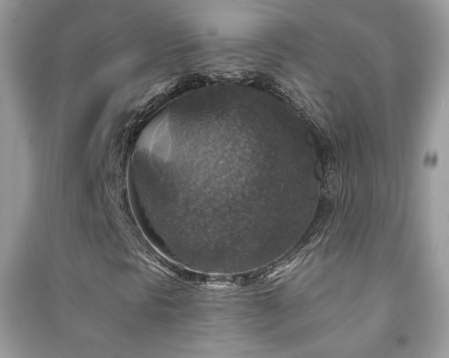 X0000091291297200708101238