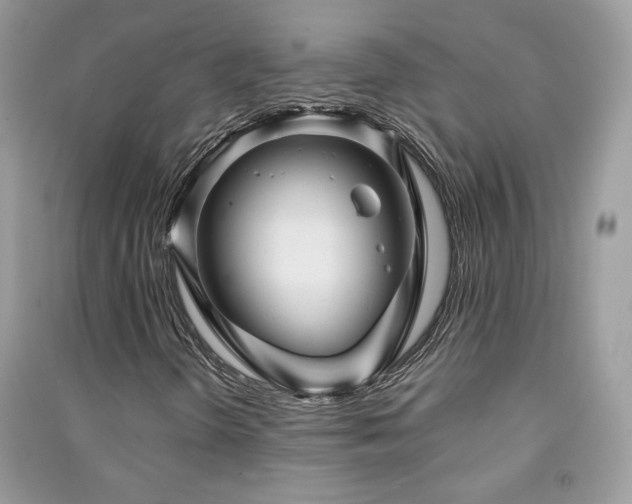 X0000091291298200708101238