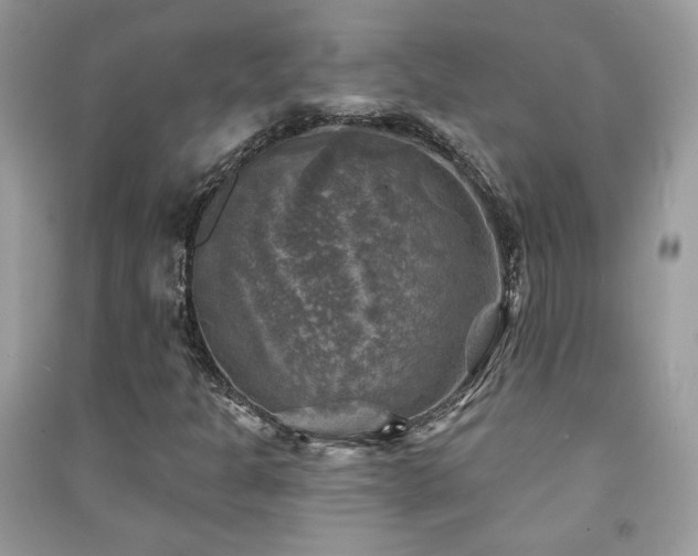 X0000091291301200708101238