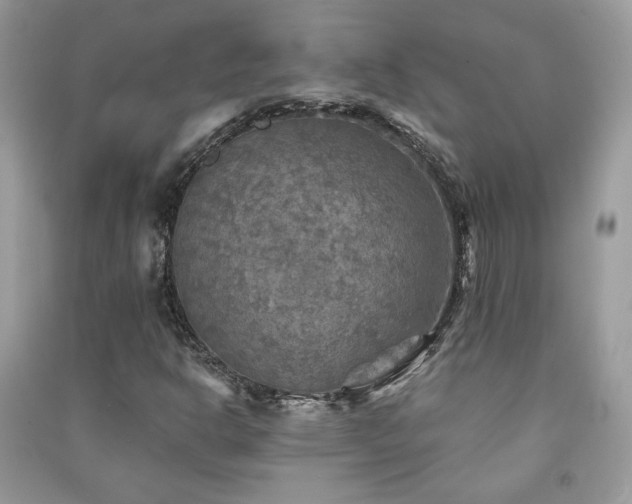 X0000091291302200708101238