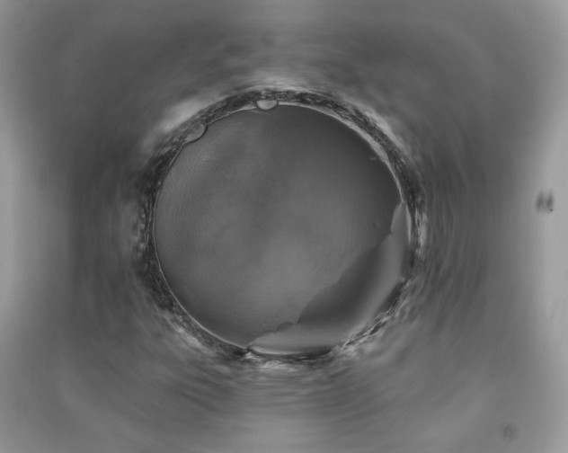 X0000091291303200708101238